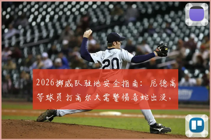 2026挪威队驻地安全指南:厄德高等球员打高尔夫需警惕毒蛇出没,职业俱乐部后勤管理细节曝光