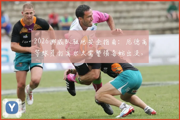 2026挪威队驻地安全指南：厄德高等球员打高尔夫需警惕毒蛇出没，职业俱乐部后勤管理细节曝光